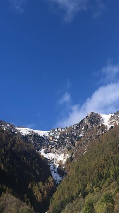 Il Sole Di Ester Branzi Eksteriør bilde